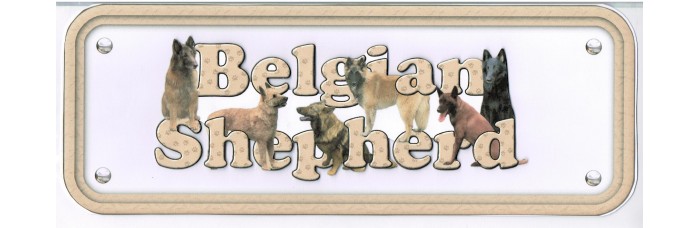 Belgian Shepherd